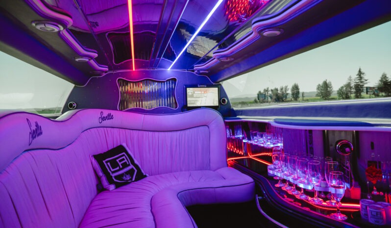 
								Chrysler 300C Limuzína full									