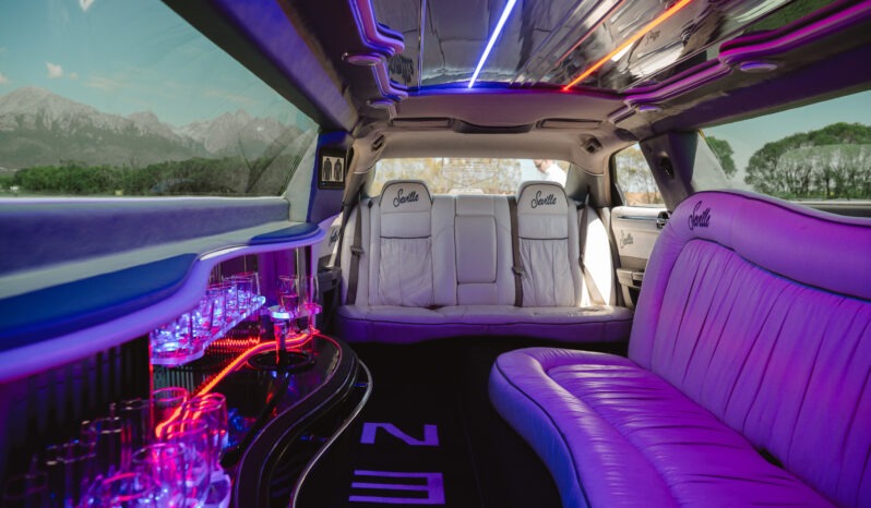 
								Chrysler 300C Limuzína full									