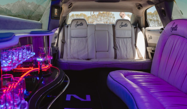 
								Chrysler 300C Limuzína full									