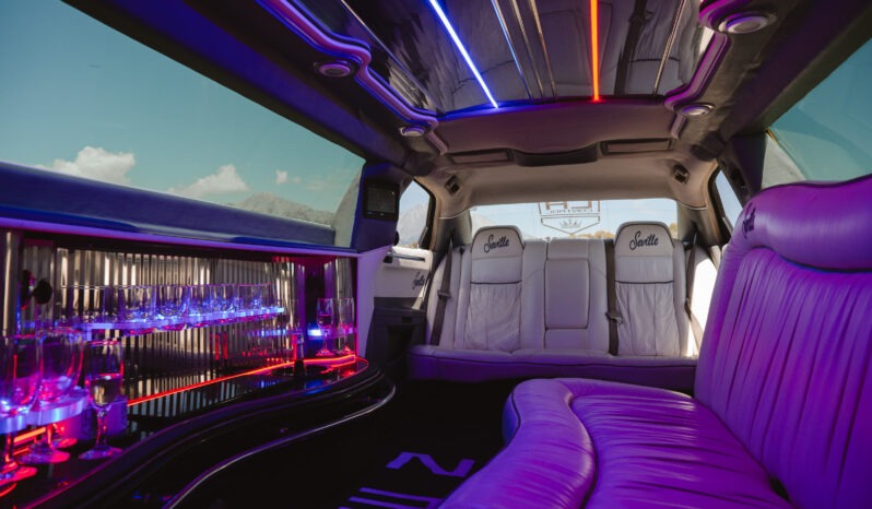 
								Chrysler 300C Limuzína full									